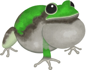 カエルのイラスト素材