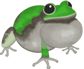 カエルのイラスト素材（ベクター素材）