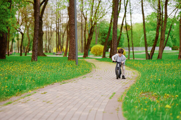 Fototapeta premium child riding scooter through park surrounded by lush green trees and blooming dandelions. enjoying outdoor activity, exploring nature on sunny spring day. freedom and play in nature