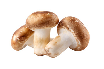 Fresh shiitake mushrooms isolated on transparent background.	
