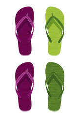 Flip Flops Pair Summer Colors
