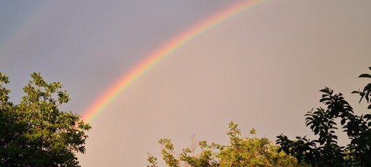 rainbow over the field