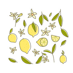 Collection of cartoon lemons, slices, flowers and leaves. Vector illustration set with citrus fruits on white background.