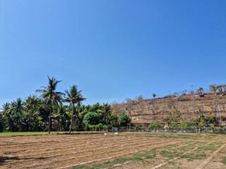 A wide, open field ready for planting onions, awaiting the harvest of a fruitful season