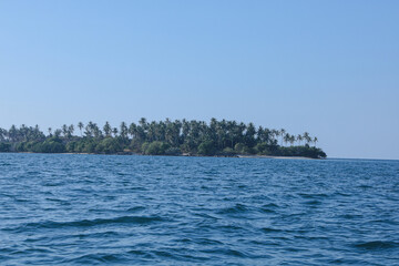 Naklejka premium Tropical island paradise with lush palm trees and calm ocean waters