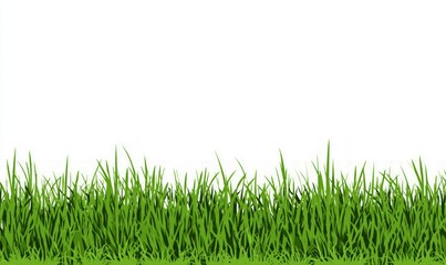 Green Grass Border On White Background