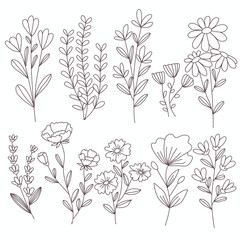 Set of hand drawn doodle herbs and flowers

