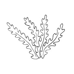 Hand-drawn seaweed silhouette in black line art style. Minimalist marine plant illustration perfect for packaging, logos, or underwater-themed designs.