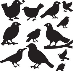 various birds depicted as black silhouettes against a white background