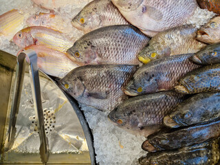 Fresh fish neatly displayed on ice, ready for selection at the seafood market
