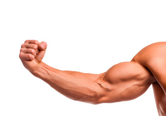 Muscular arm flex close-up for fitness and health concepts on transparent background, PNG