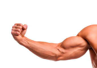 Muscular arm flex close-up for fitness and health concepts on transparent background, PNG
