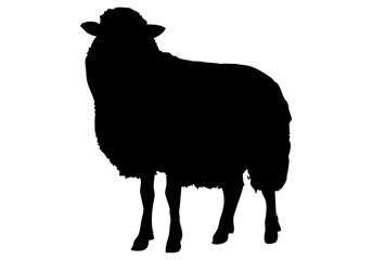 Silueta negra de oveja en fondo blanco