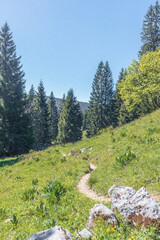 Paysage de montagne