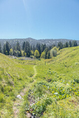 Paysage de montagne