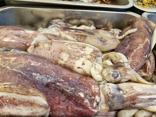 Close-up of fresh squid on ice, perfect for your next seafood feast