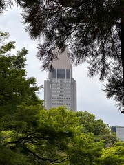The trees in the city park and the buildings in the distance show the harmony between man and nature