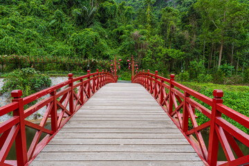 Red Bridge Decorated With Elegant Hearts In The Jungle