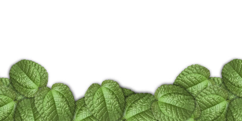Green Leaf Frame on Light Gray Background – Nature Border Template