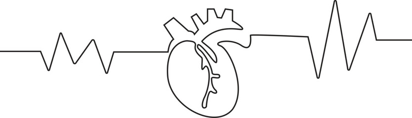 continuous one line art anatomical human heart silhouette. Healthy medicine concept design one sketch outline drawing vector illustration, Human heart one line colored continuous drawing. Human