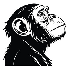 The primate chimpanzee gazes upward in a black and white stylized depiction
