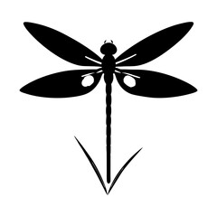 Naklejka premium Vector graphic of a dragonfly insect with wings and tail design element silhouette