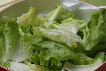 A close-up of vibrant green Batavia lettuce leaves with gently ruffled edges. Their crisp texture...