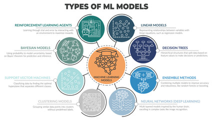 Types of Machine Learning Models vector diagram. Color outline illustration with circular elements and labeled model types. Ideal for AI, data science, and technology presentations