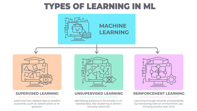 Types of Learning in Machine Learning diagram vector illustration. Color thin line infographic with clean, minimal style. Useful for AI, data science, and analytics presentations