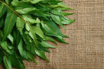 Fresh neem leaves arranged on natural fiber mat create vibrant, organic display