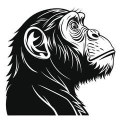Striking primate silhouette portrays detailed fur texture along the chimpanzee's bold head and shoulder