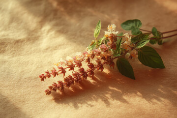 Delicate holy basil flowers with green leaves arranged soft surface, creating serene atmosphere