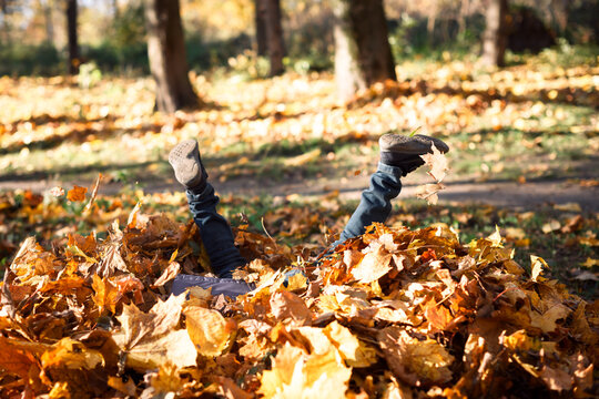 Happy little boy diving into pile of golden maple leaves in beautiful autumn park on warm sunny autumn day