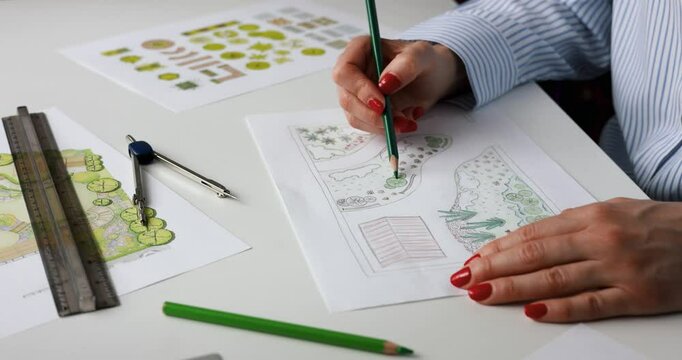 landscape architect, designer drawing ornamental garden plan in office