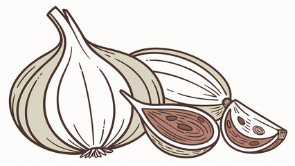 Garlic bulb whole and sliced cloves vector illustration for cooking ingredient and flavor enhancer use