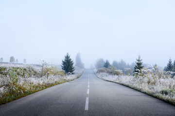 Foggy road stretches into frosty autumn morning light in quiet landscape scene. Misty countryside...