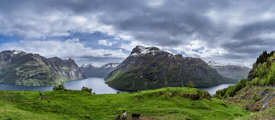 Idyllic Mountainous Fjord Landscape with Lush Forest and Snow-Capped Peaks, Geiranger Fjord, Norway