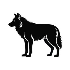 Fototapeta premium Black Silhouette of a Wolf Standing Profile View animal wildlife 2