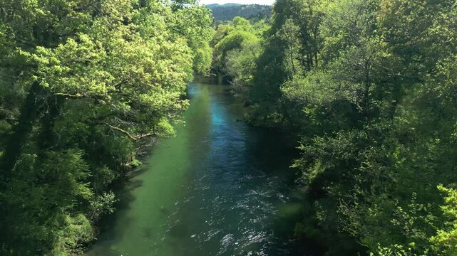 A River Of Lerez Flowing In Dense Vegetations Near Pedre In Cerdedo-Cotobade, Pontevedra, Galicia, Spain. Aerial Pullback Shot
