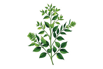 Naklejka premium bouquet of flowers transparent