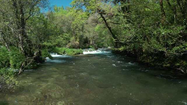 Lerez River Through Wild Forest Near Pedre, Cerdedo-Cotobade, Pontevedra, Galicia, Spain. Aerial Shot