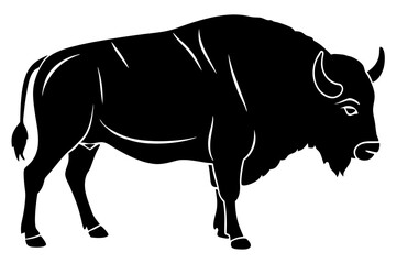 black and white bull