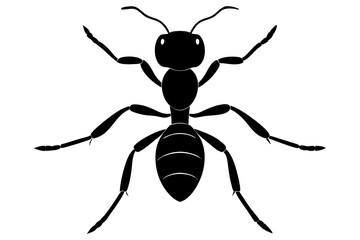 vector illustration of a spider