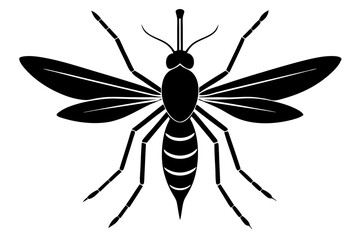 vector illustration of a mosquito