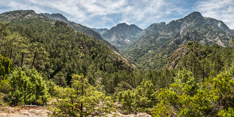 View of Punta Petrinaccia and Punta Pittinaghia and the mountains and pine forest at Bonifatu on the Mediterranean island opf Corsica