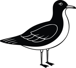Minimalist Illustration of a Black and White Sea Bird Standing Profile View