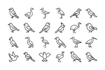 Collection of Bird Icons in Outline Style
