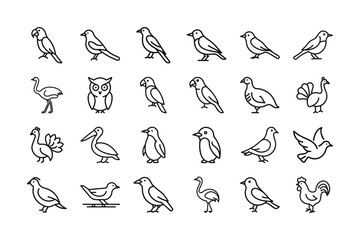 Set of bird icons in outline style
