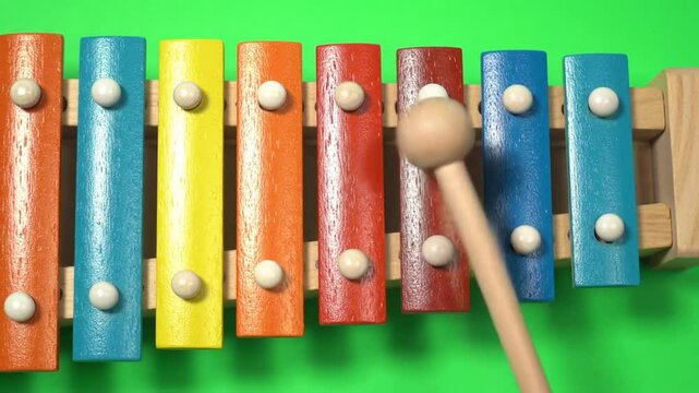 xylophone on green background