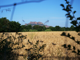 Rocher de Roquebrune sur Argens
